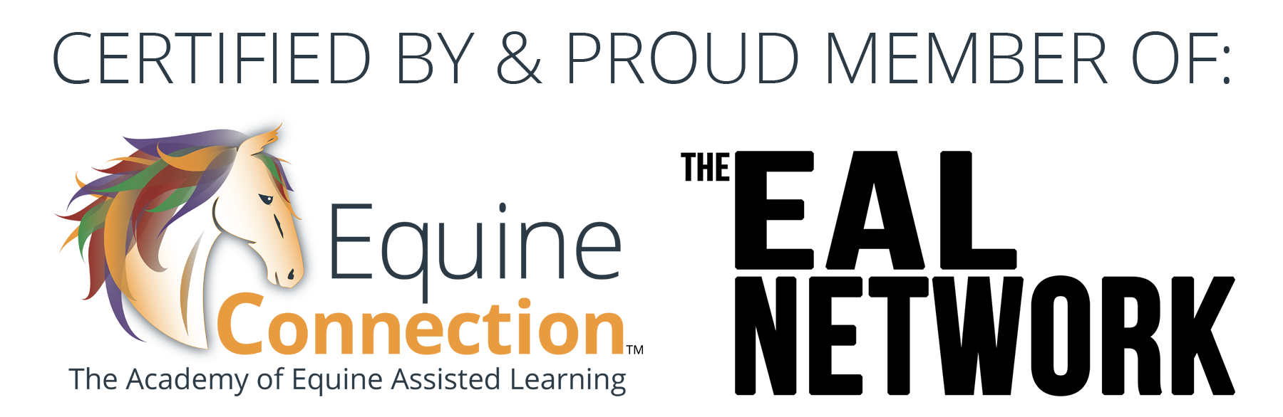 a badge of credibility of certification through equine connection - the academy of equine assisted learning