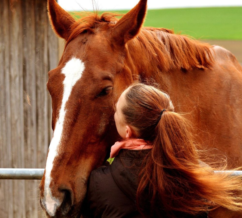 Woman hugging horse during an equine therapy session